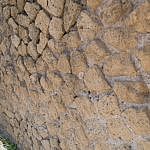 TEX_2439