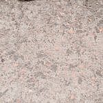 TEX_2642