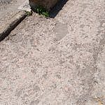 TEX_2645
