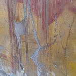 TEX_2702