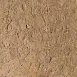 TEX_2710