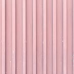 TEX_2777