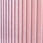 TEX_2780