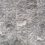 TEX_2798