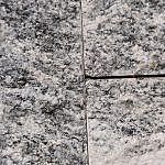 TEX_2800