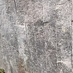TEX_2801