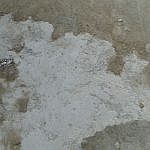 TEX_2838