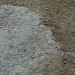 TEX_2840
