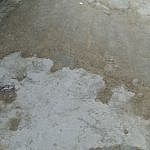 TEX_2841