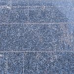 TEX_2922