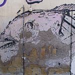TEX_2947