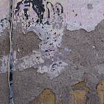 TEX_2948