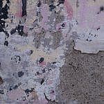 TEX_2949