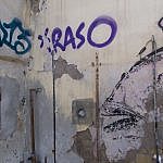 TEX_2950