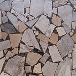 TEX_2983