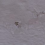 TEX_2997