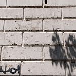 TEX_3021
