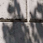 TEX_3022