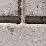 TEX_3023
