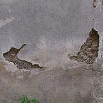 TEX_3077