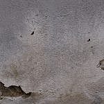 TEX_3078