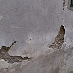 TEX_3080