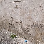 TEX_3091
