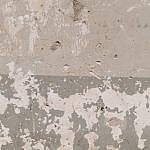TEX_3182