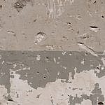 TEX_3183