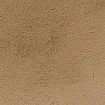 TEX_3207