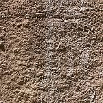 TEX_3241