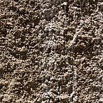 TEX_3242