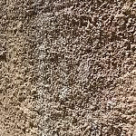 TEX_3244