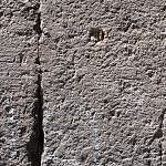 TEX_3265