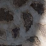 TEX_3294