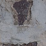 TEX_3295