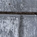 TEX_3369