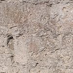 TEX_3398