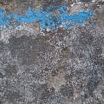 TEX_3494