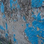 TEX_3495