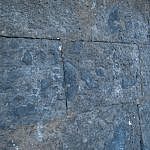 TEX_3521