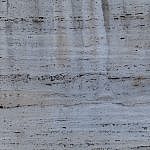 TEX_3542