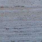 TEX_3543