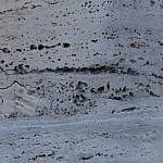 TEX_3545