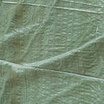 TEX_3594