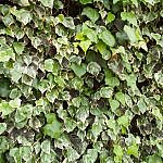TEX_3649