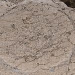 TEX_3676