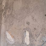 TEX_3762