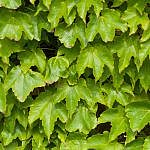 TEX_3802