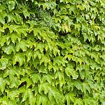 TEX_3804